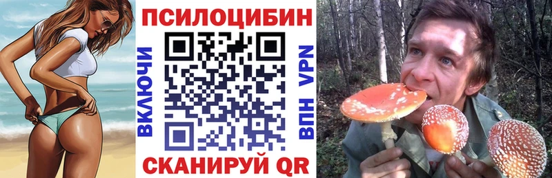Псилоцибиновые грибы мицелий  Купить где  Ишим 